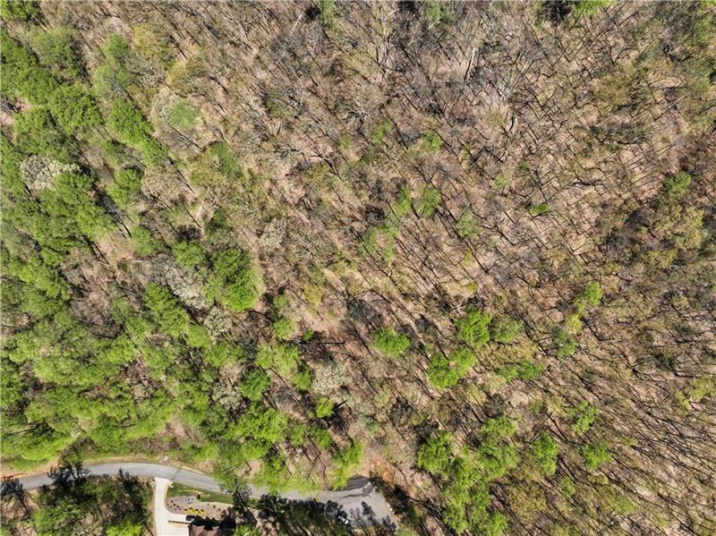 0 Stone Clf Trace Cleveland, GA 30528 - Photo 9 of 22