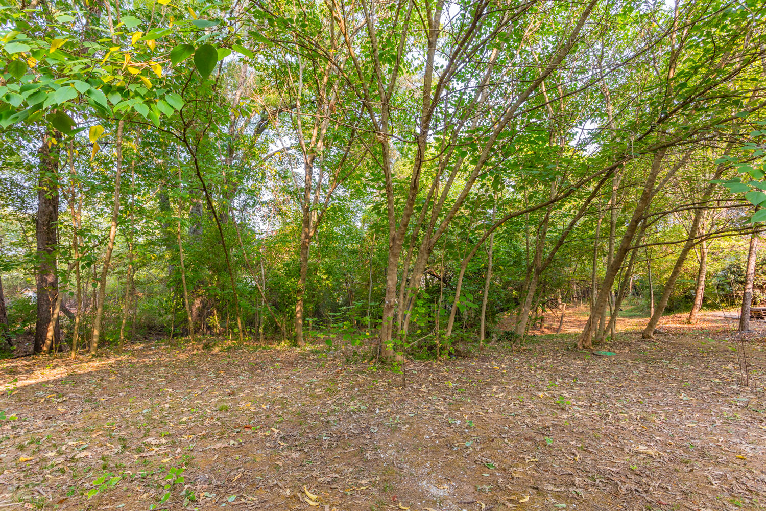 3567 Dodson Avenue Chattanooga, TN 37406 - Photo 26 of 27 3567 Dodson Ave HD-8