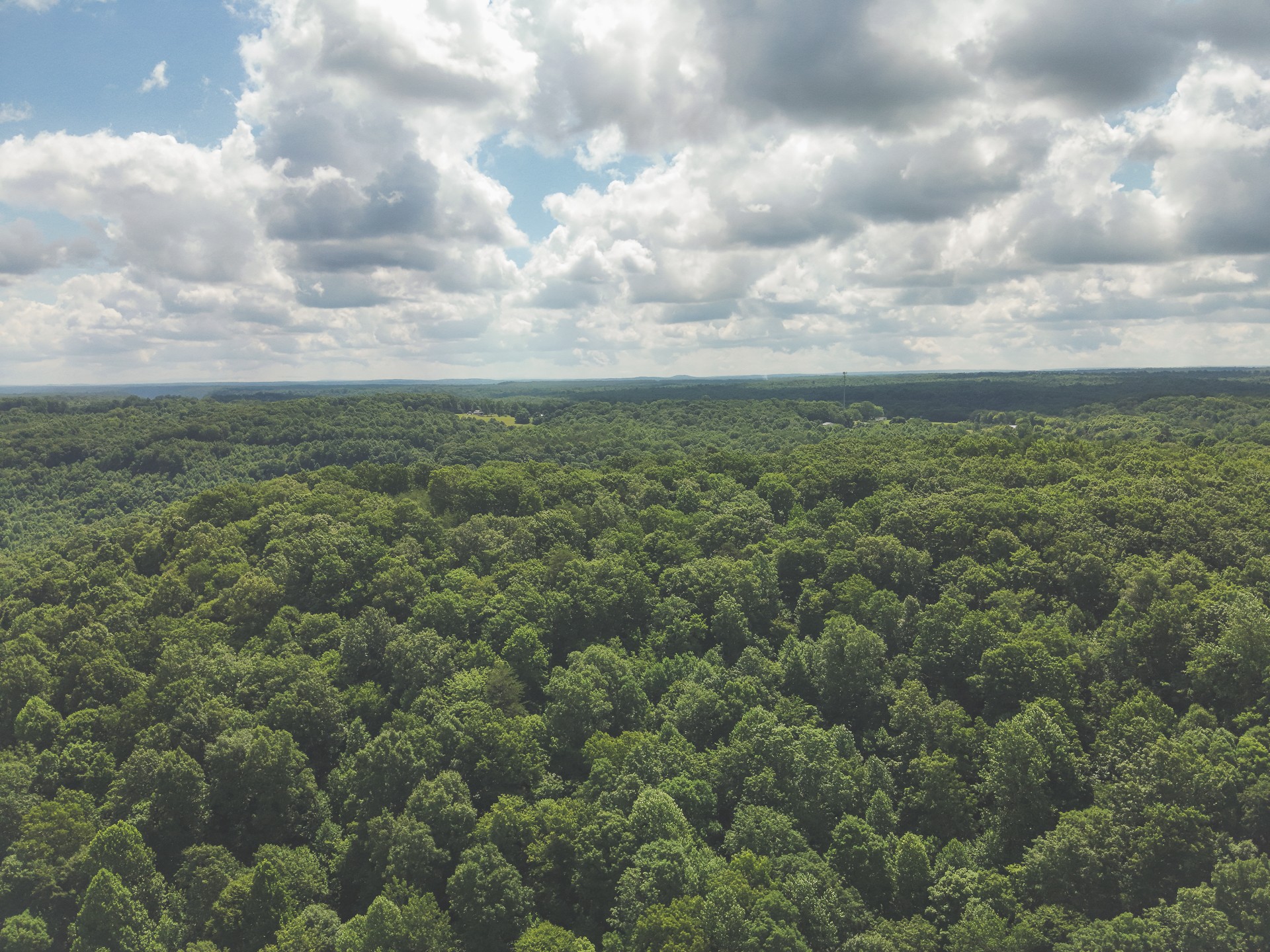 0 Long Fork Creek Road Spencer, TN 38585 - Photo 35 of 45