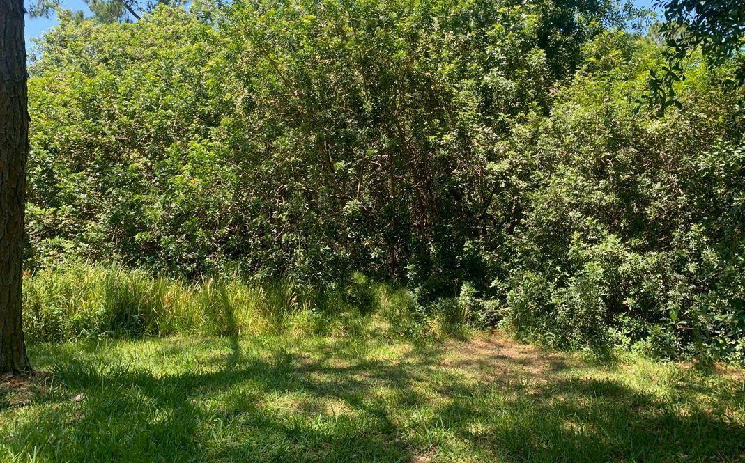 1956 West Tanager Road Avon Park, FL 33825 - Photo 1 of 2 Photo 1