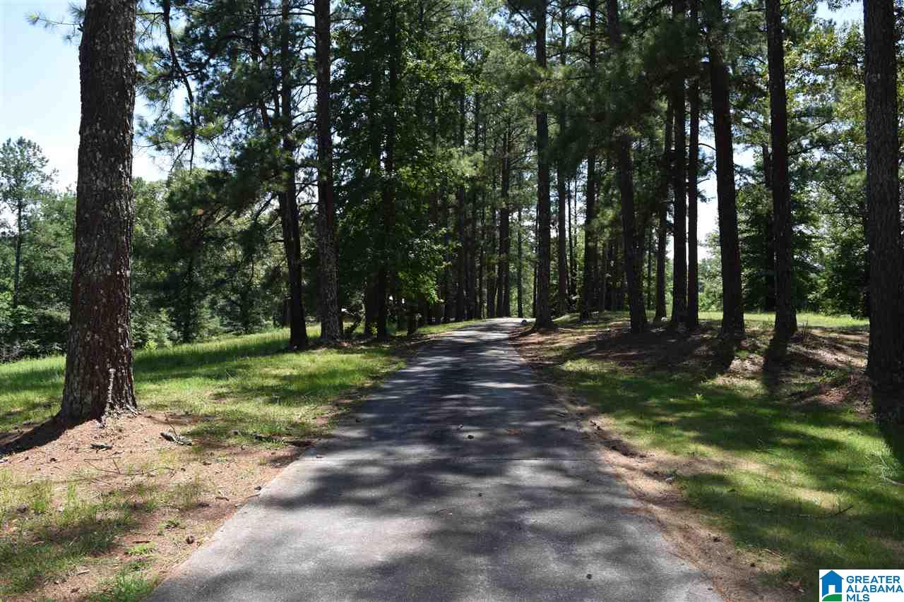 40 Armstrong Loop Hayden, AL 35079 - Photo 19 of 45