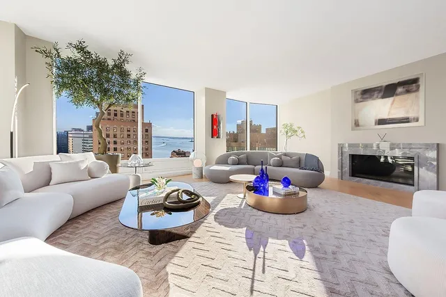 a living room with furniture and a potted plant