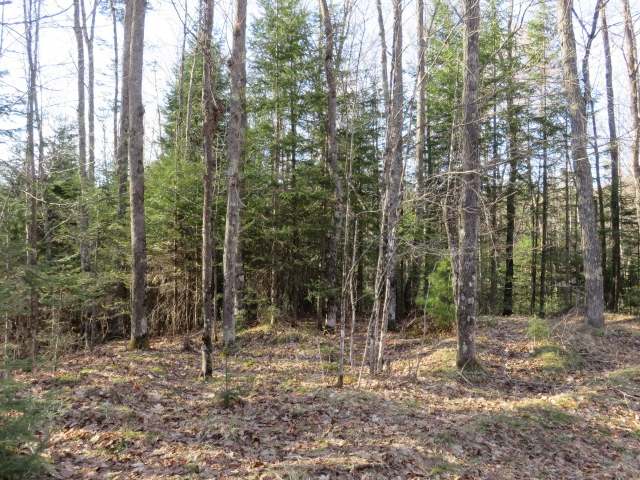 On Wildcat Road, Unit LOTS 3 4 9 Presque Isle, WI 54557 - Photo 4 of 10 Gallery Image 4