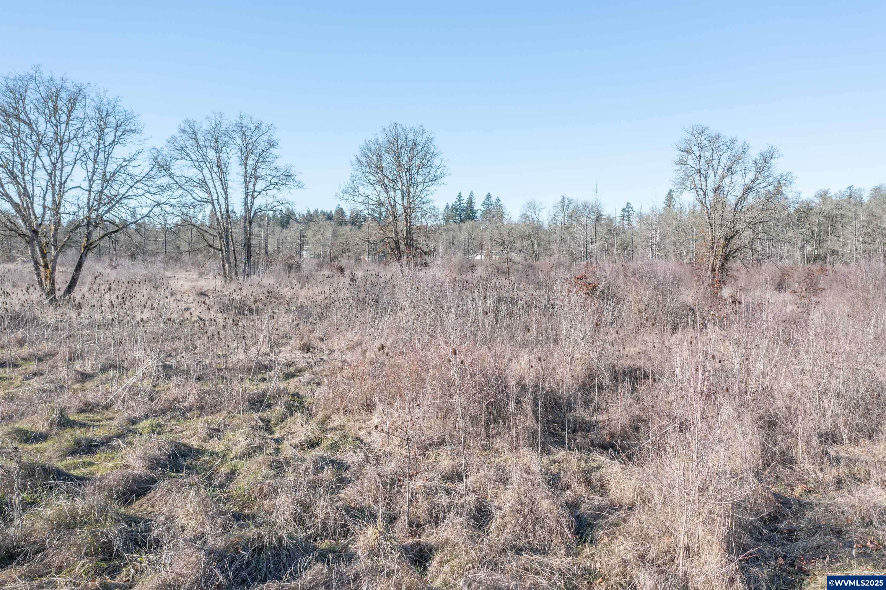 35388 Richardson Gap Road Lebanon, OR 97355 - Photo 29 of 30