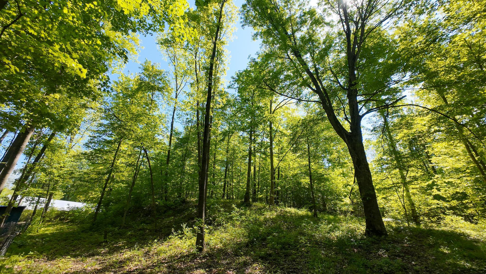 4196 West 4 Mile Road White Cloud, MI 49349 - Photo 45 of 65 DJI_20260527113429_0065_D