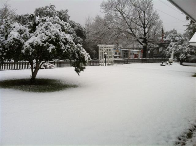 18820 Lee Road Franklinton, LA 70438 - Photo 19 of 23