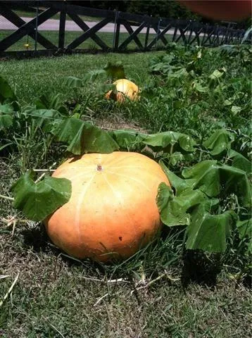 $230,000 | 18820 Lee Road, Franklinton, LA 70438