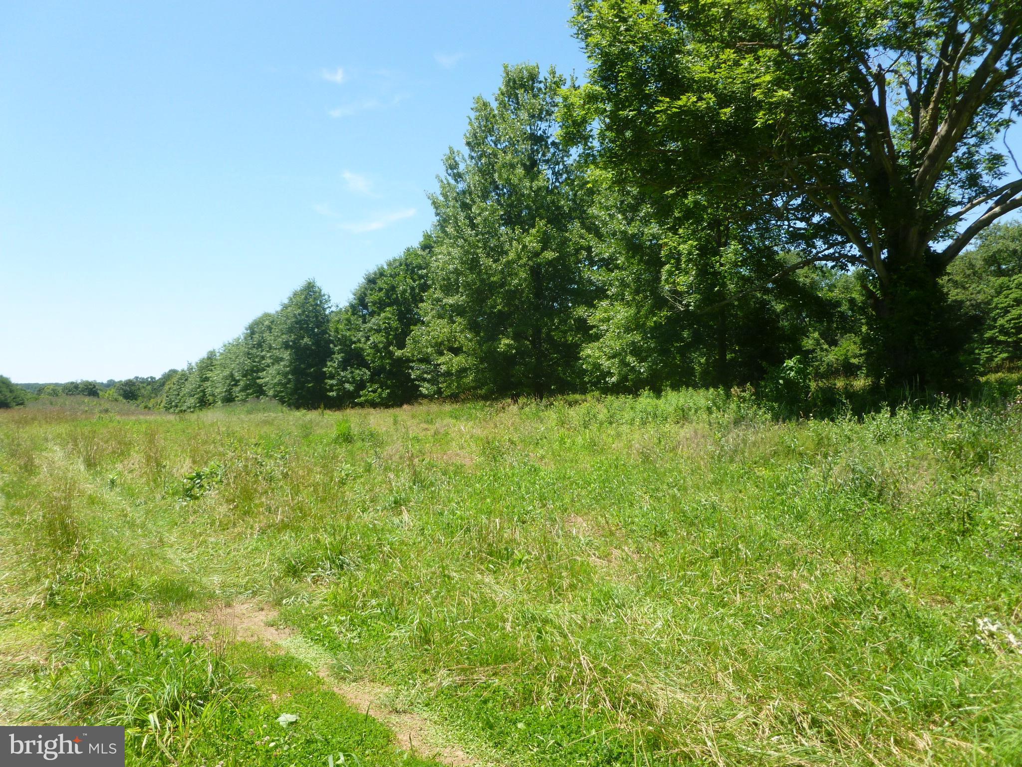 Baldwin Mill Road Baldwin, MD 21013 - Photo 5 of 26 View