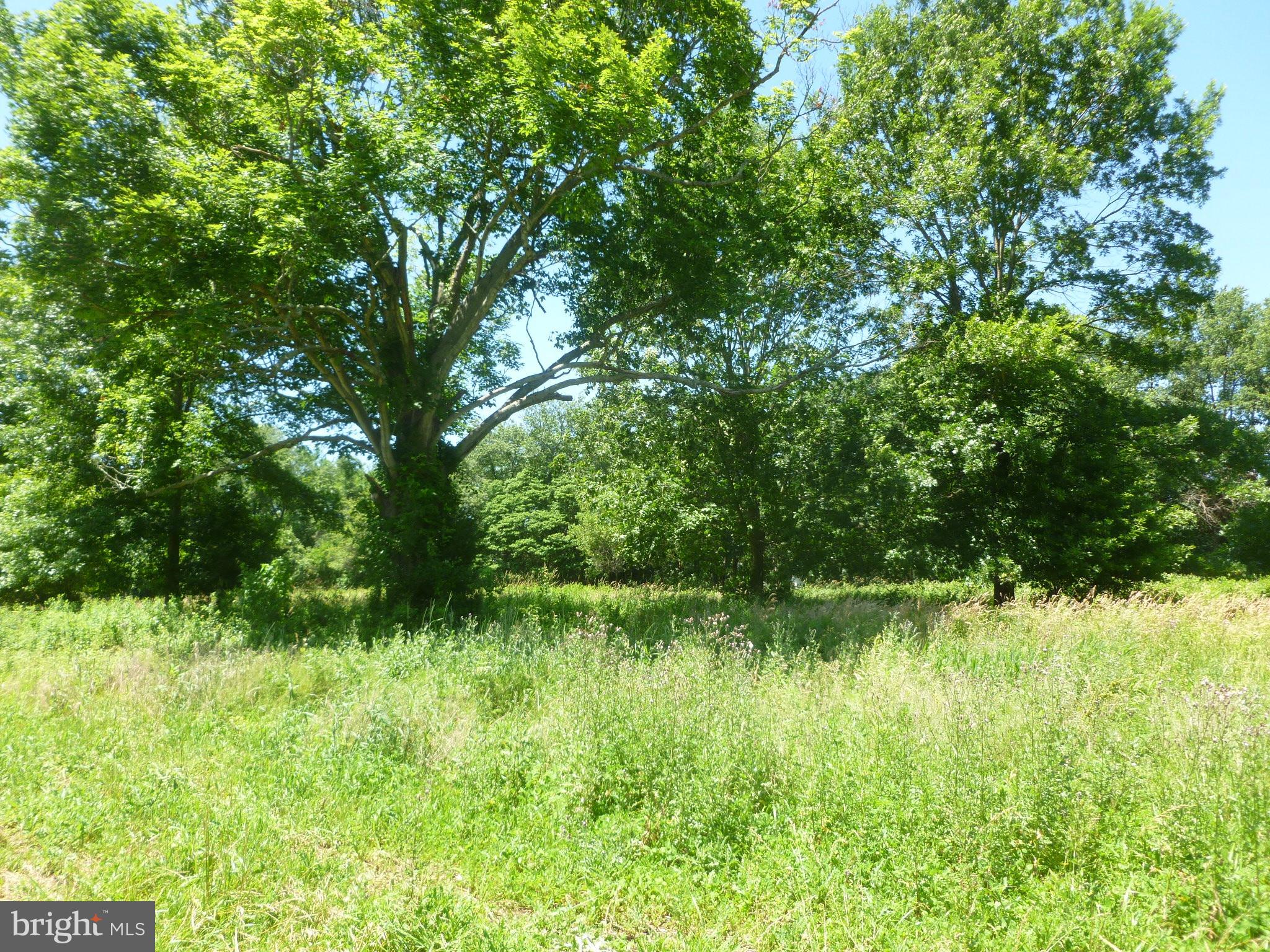 Baldwin Mill Road Baldwin, MD 21013 - Photo 6 of 26 View