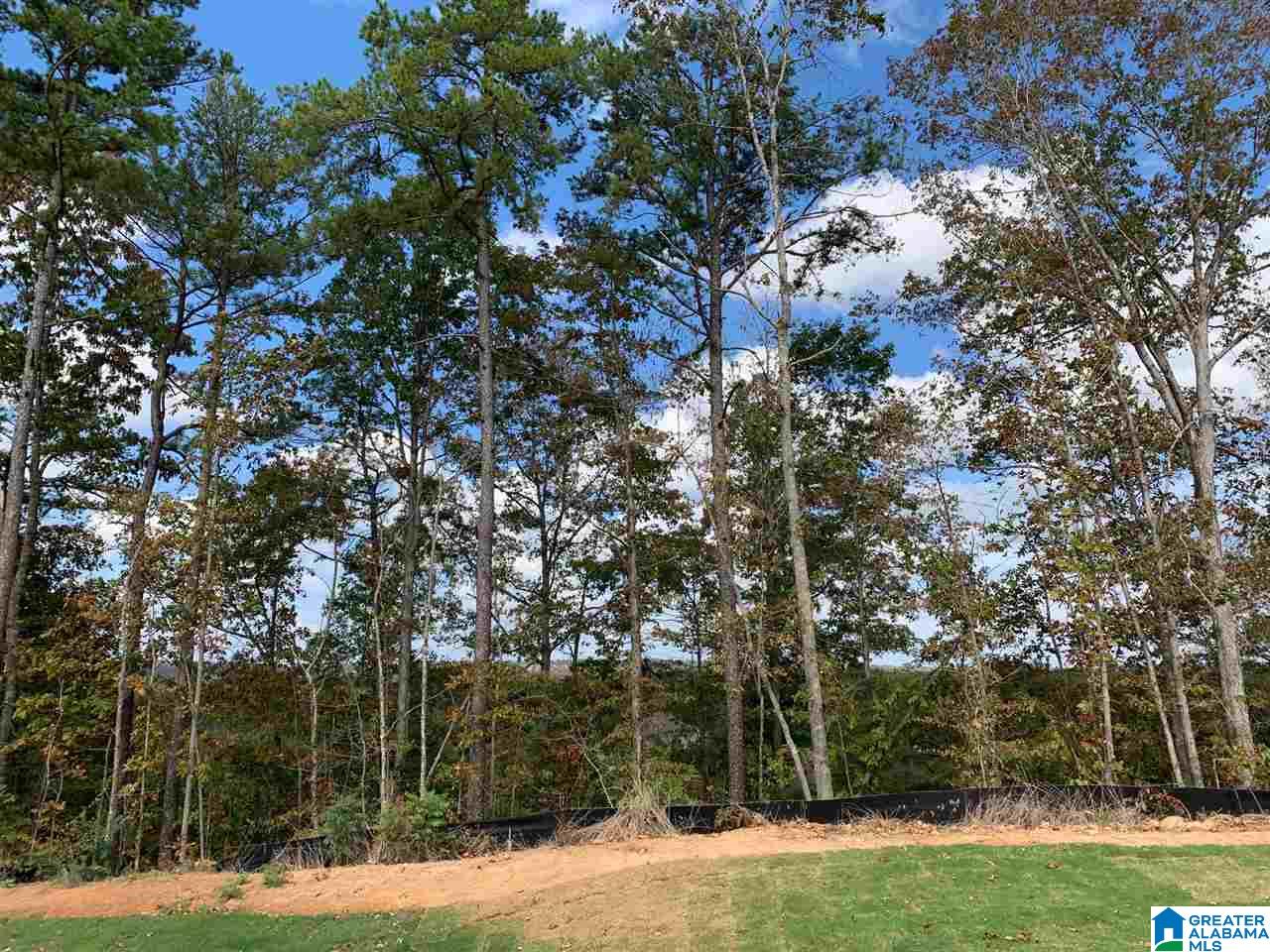 1043 Crestview Ridge Helena, AL 35080 - Photo 8 of 8