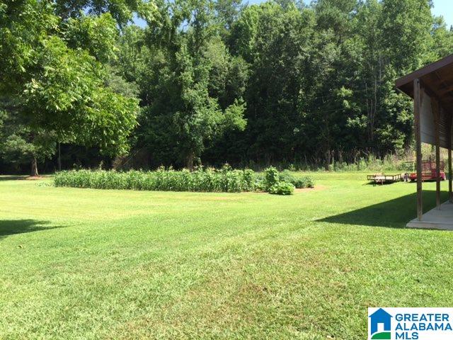 812 Riverview Road Quinton, AL 35130 - Photo 44 of 46