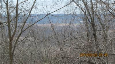 3 Bridgeport-Benson Road Frankfort, KY 40601 - Photo 15 of 18 Photo 15