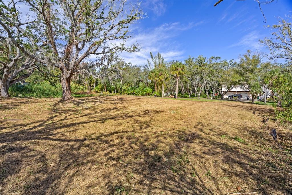 Irwin Street Safety Harbor, FL 34695 - Photo 7 of 14