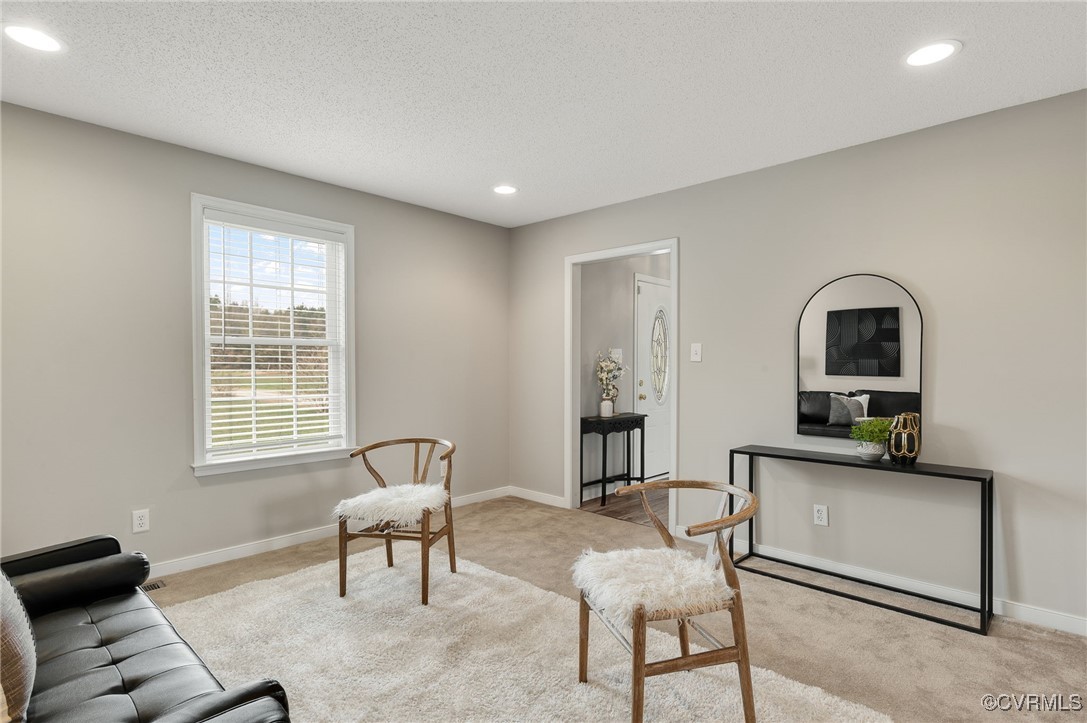 10691 Squirrel Level Road Petersburg, VA 23803 - Photo 8 of 44 Gallery Image 8