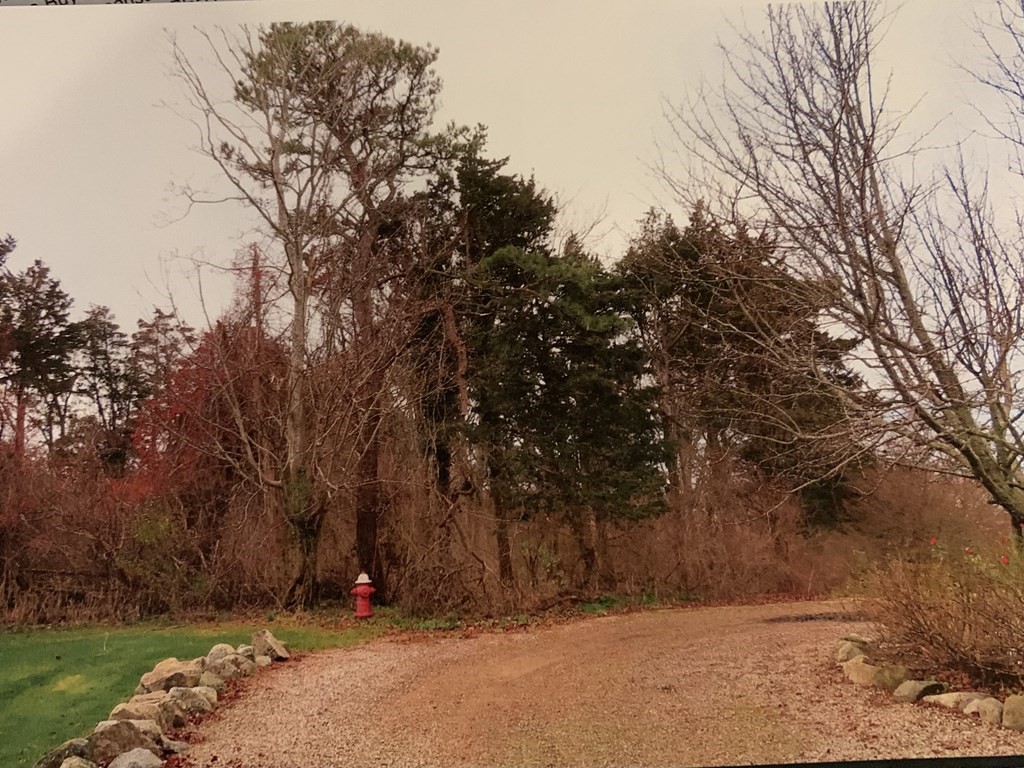a view of wooden fence under a large tree