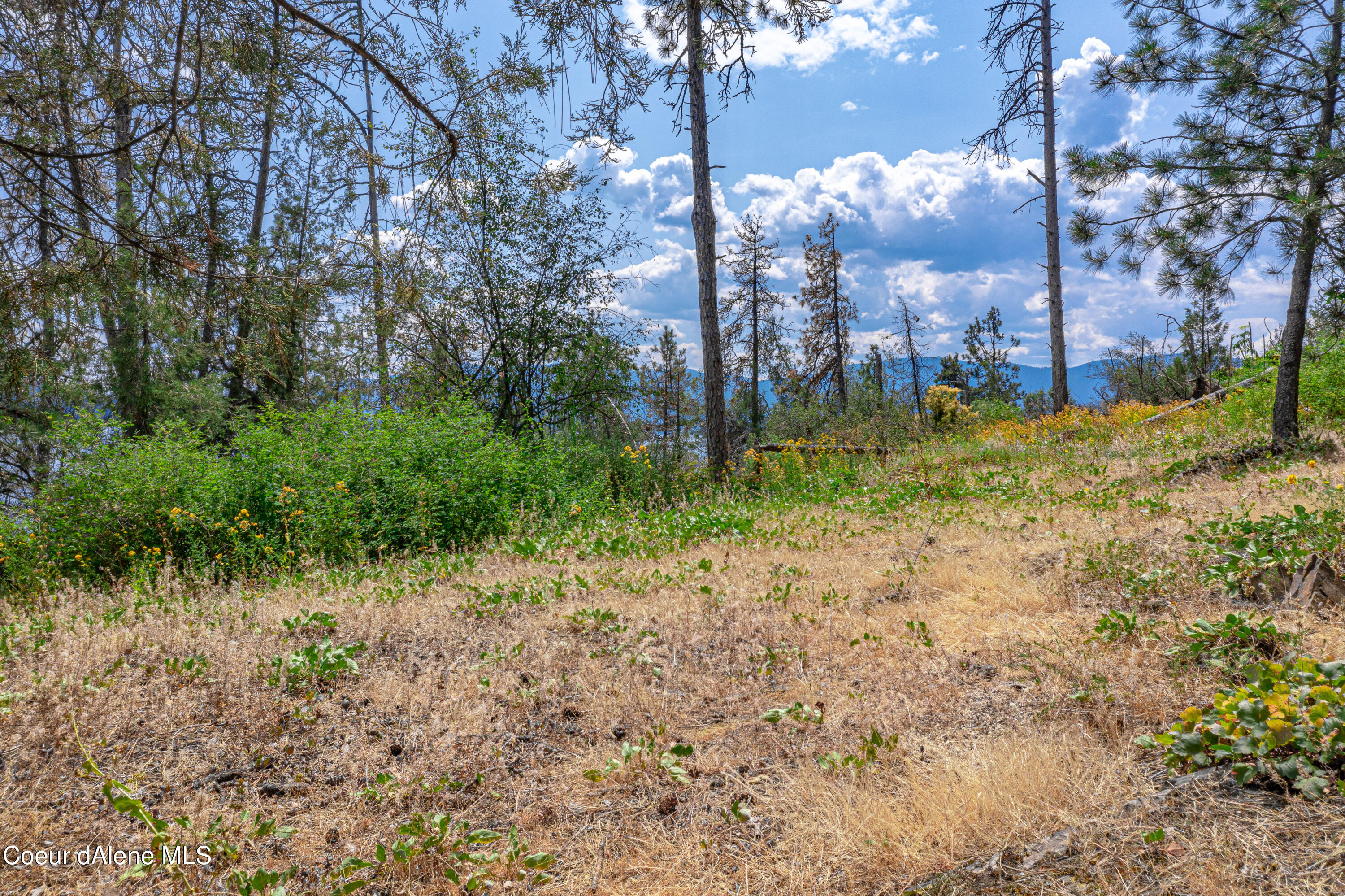 Cottage Island Hope, ID 83836 - Photo 32 of 38 DJI_0636