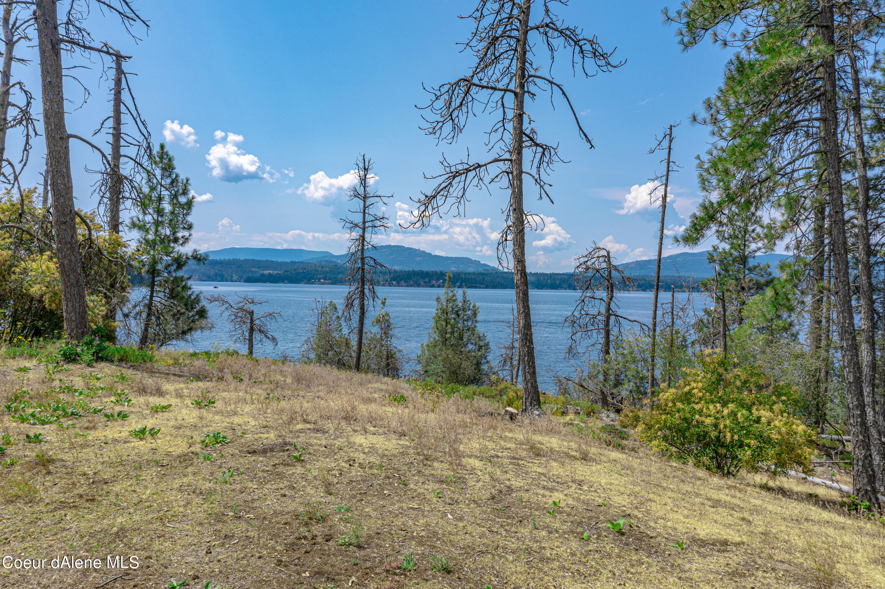 Cottage Island Hope, ID 83836 - Photo 33 of 38 DJI_0640