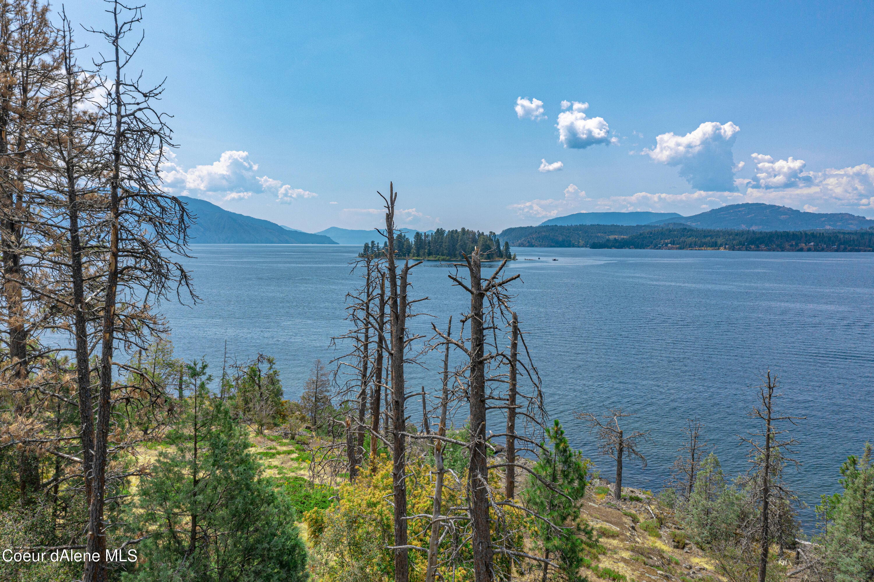 Cottage Island Hope, ID 83836 - Photo 34 of 38 DJI_0641