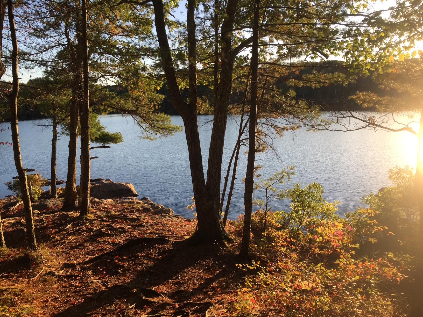 241 Old Stage Road Bath, ME 04530 - Photo 46 of 51 Sewall Pond