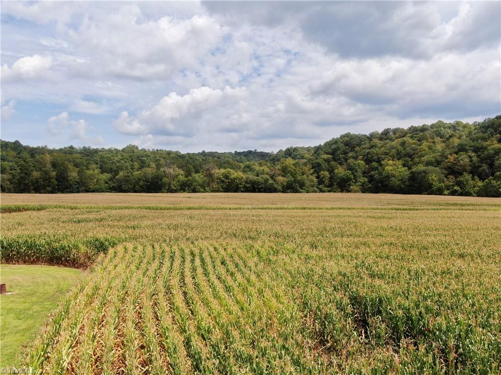 2638 Riverside Drive Mount Airy, NC 27030 - Photo 7 of 33