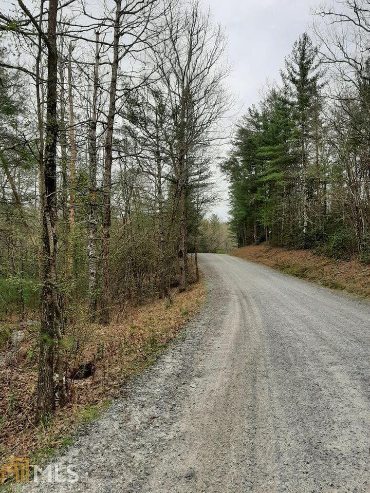 0 Peter Knob Road, Unit LOT 10 Blue Ridge, GA 30513 - Photo 1 of 1 Gallery Image 1
