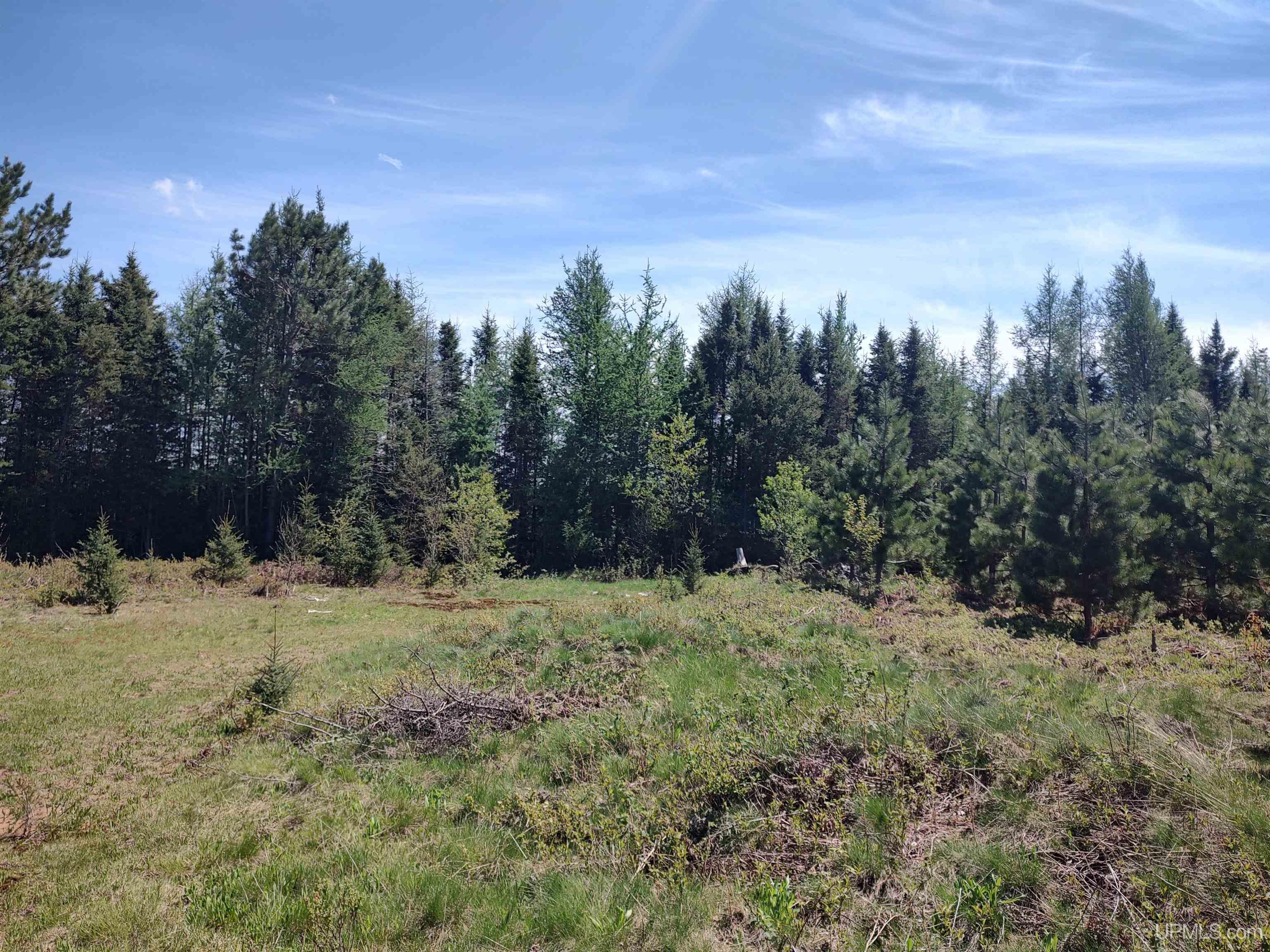 58-acres Co Rd Fn Road Champion, MI 49814 - Photo 20 of 27