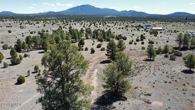 5305 Red Mountain Road Williams, AZ 86046 - Photo 3 of 10 dji_fly_20260415_105020_924_177627555702