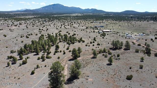 5305 Red Mountain Road Williams, AZ 86046 - Photo 9 of 10 dji_fly_20260415_105004_923_177627542424