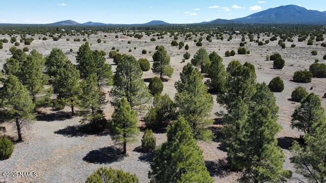 5305 Red Mountain Road Williams, AZ 86046 - Photo 10 of 10 dji_fly_20260415_105102_925_177627556080