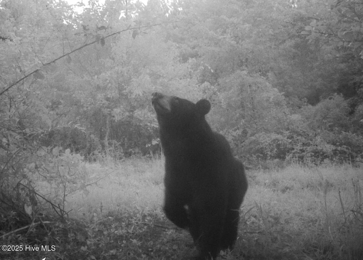 759 Cobb Road Kinston, NC 28501 - Photo 50 of 51 IMG_8821
