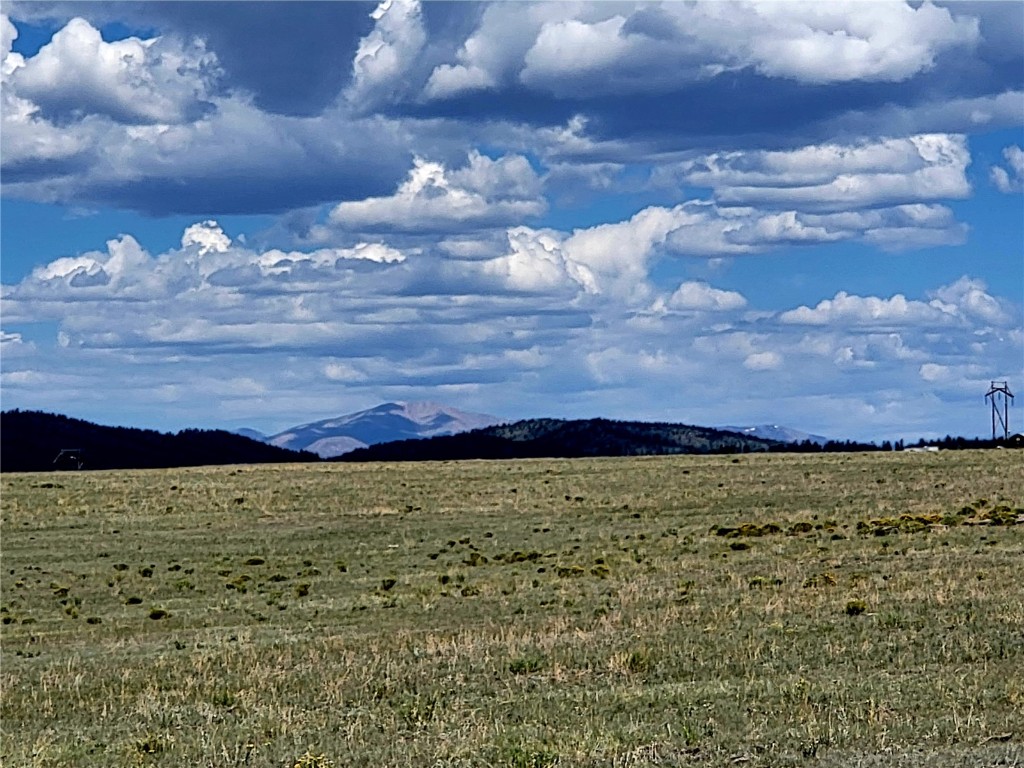 0 Rio Blanco Road Hartsel, CO 80449 - Photo 2 of 9 a view of a yard
