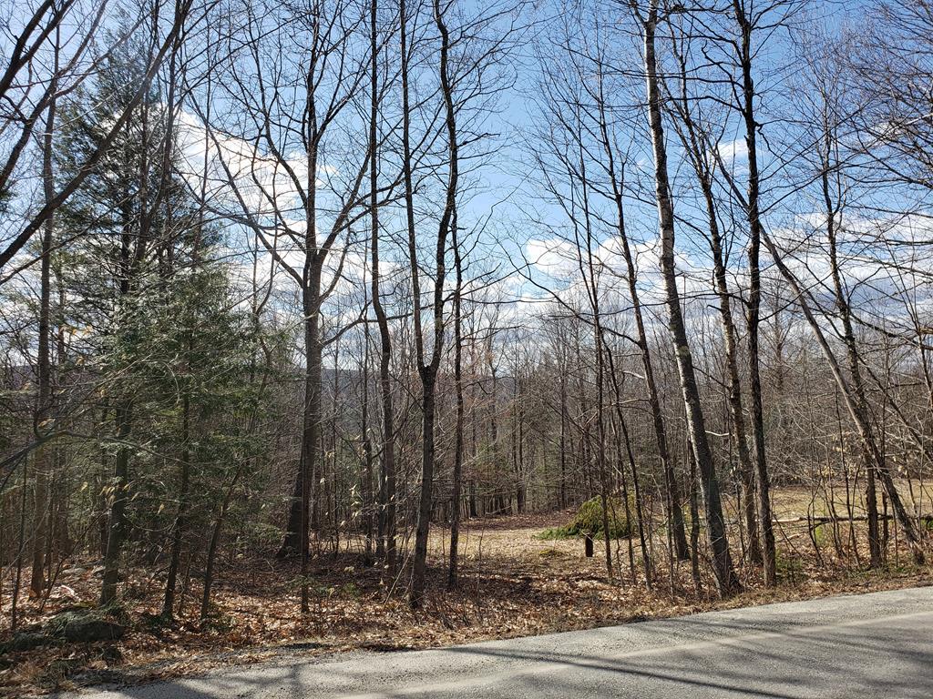 380 Pinnacle Road Canaan, ME 04924 - Photo 11 of 15 20210408_151509