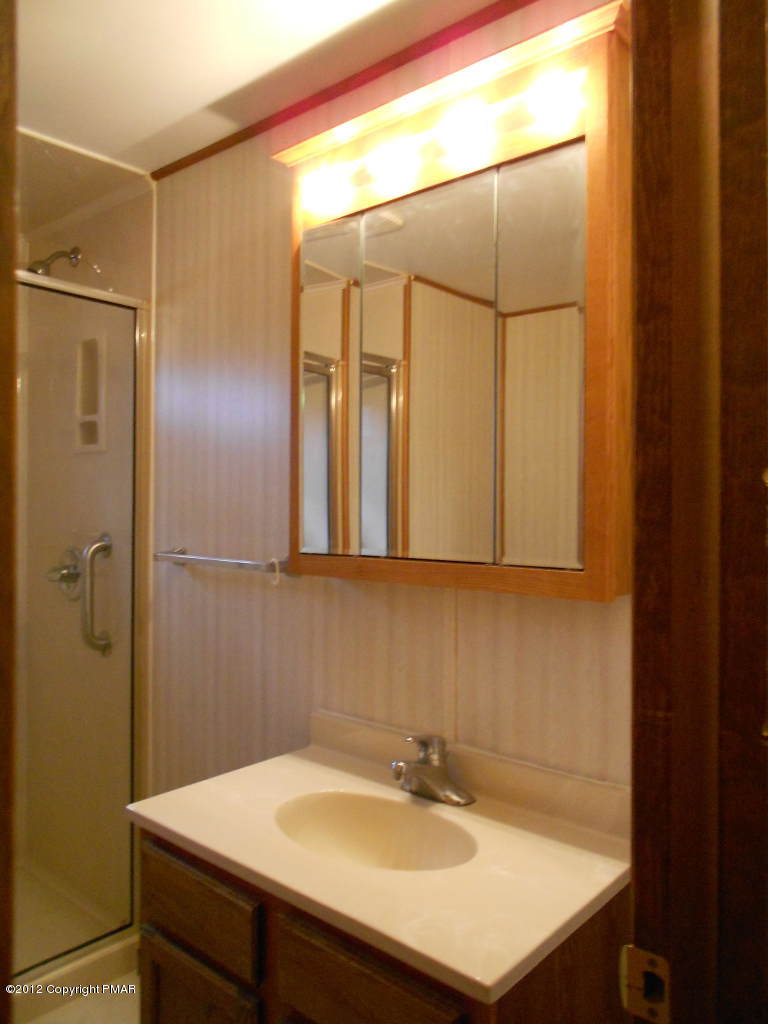 338 Summit Road Swiftwater, PA 18370 - Photo 15 of 15 a bathroom with a sink and mirror