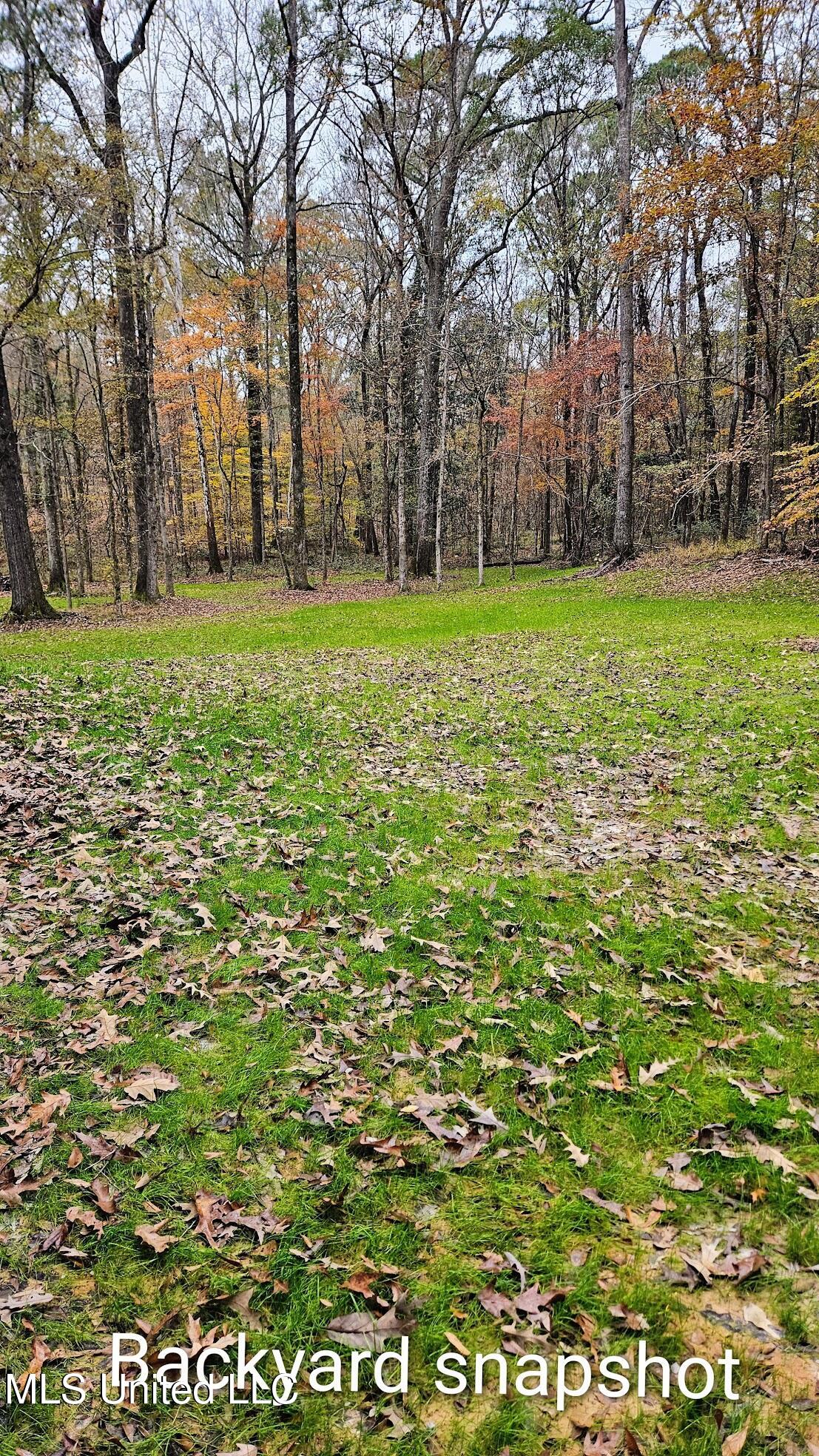 151 East Eagle Ridge Drive Florence, MS 39073 - Photo 3 of 25 IMG_6828