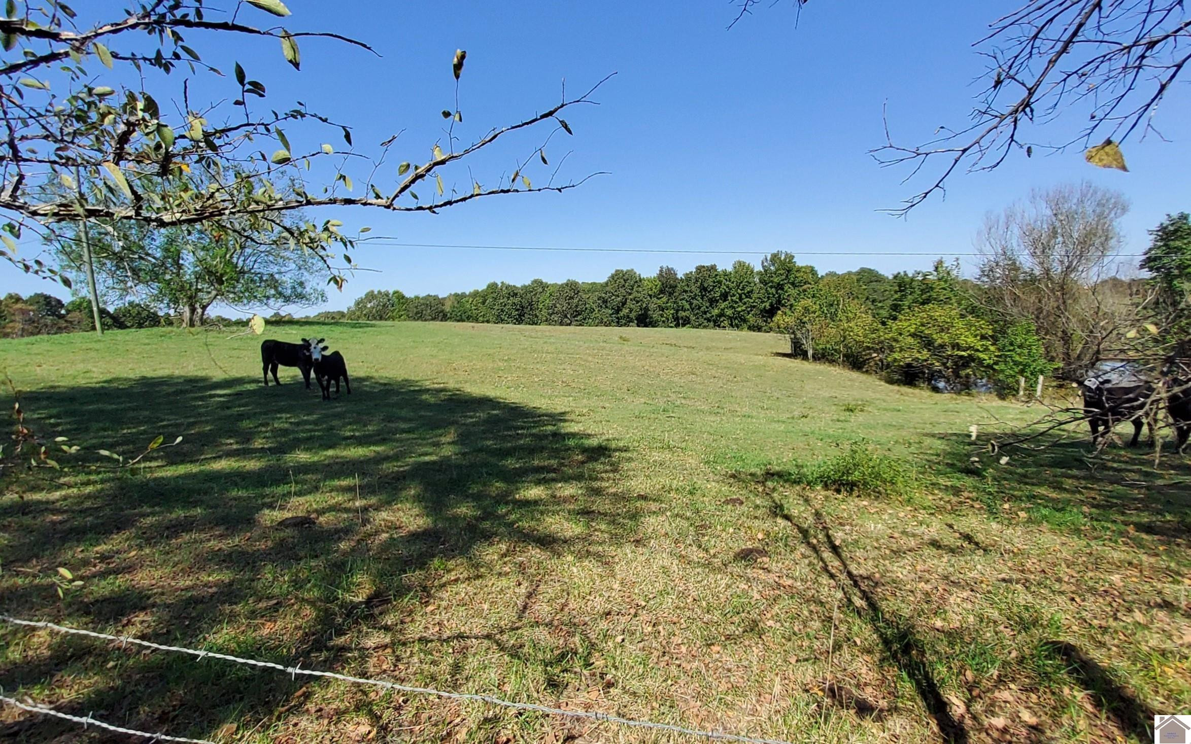 190 McKinney Road Kuttawa, KY 42055 - Photo 28 of 29 Photo 28