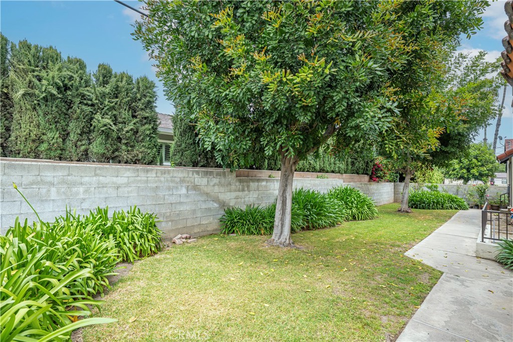 1349 Elm Avenue San Gabriel, CA 91775 - Photo 9 of 10 a view of a yard with plants and large trees