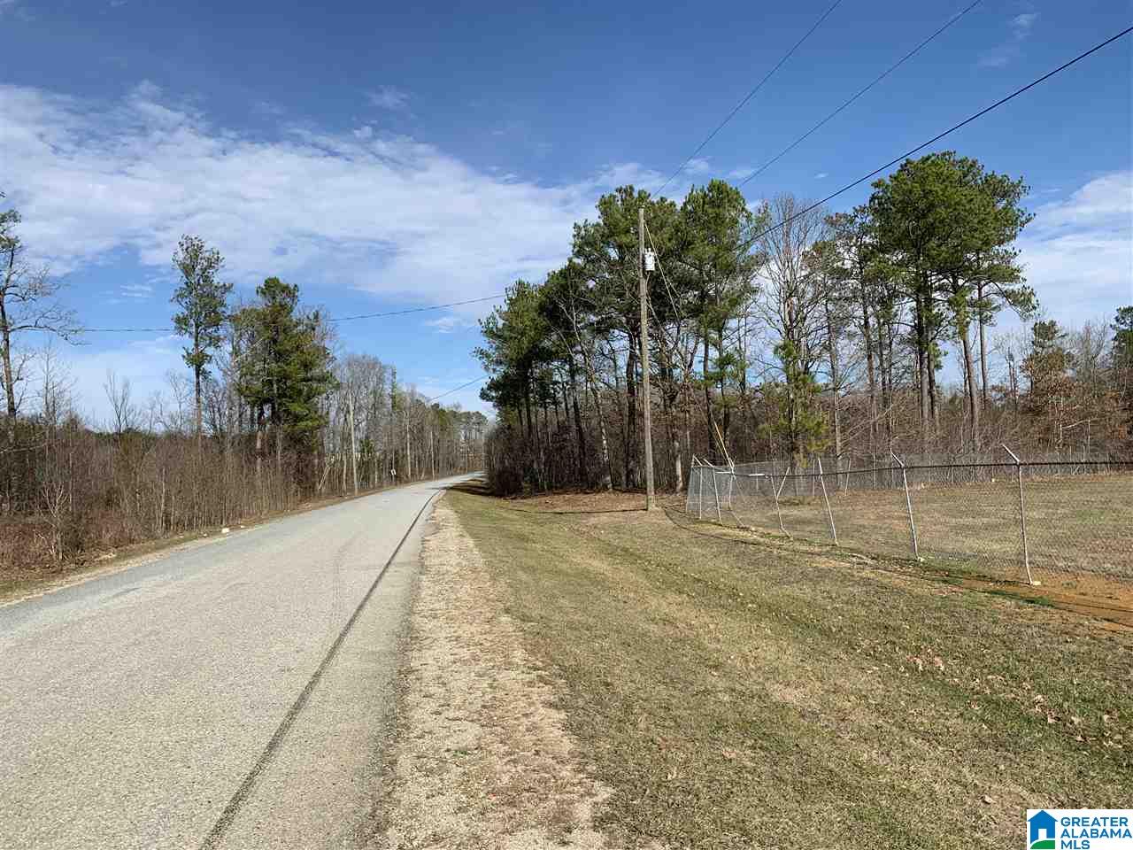 15-acres Crump Road, Unit 15 ACRES Steele, AL 35987 - Photo 3 of 9