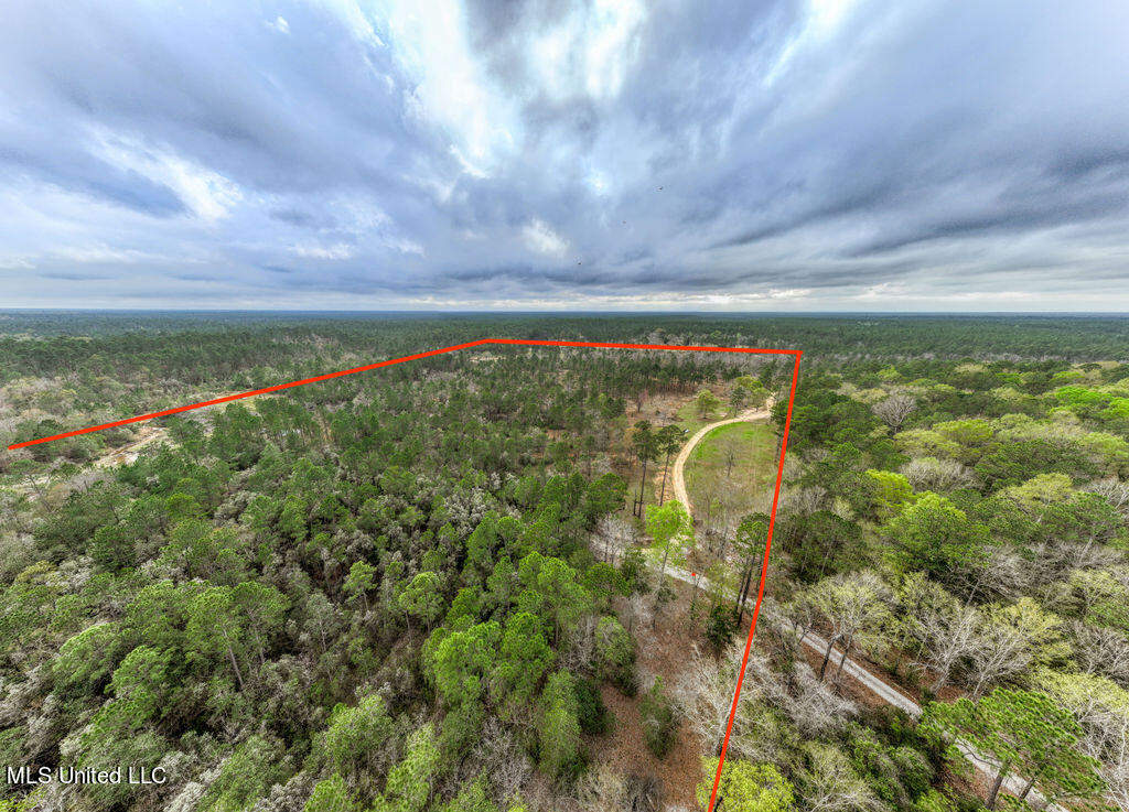 15429 Indian Fork Road Vancleave, MS 39565 - Photo 62 of 63 Arial of Land