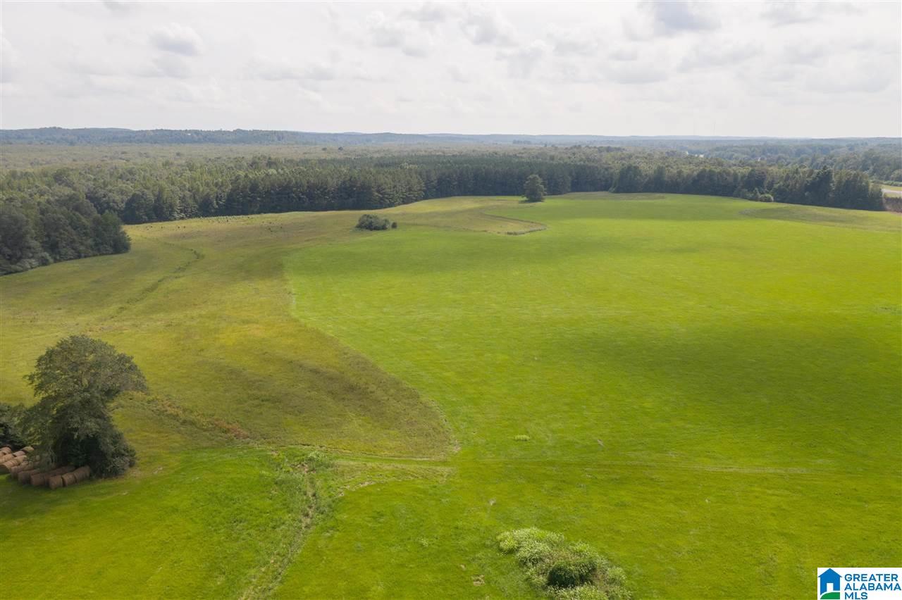 205 County Road 3 Reform, AL 35481 - Photo 9 of 46