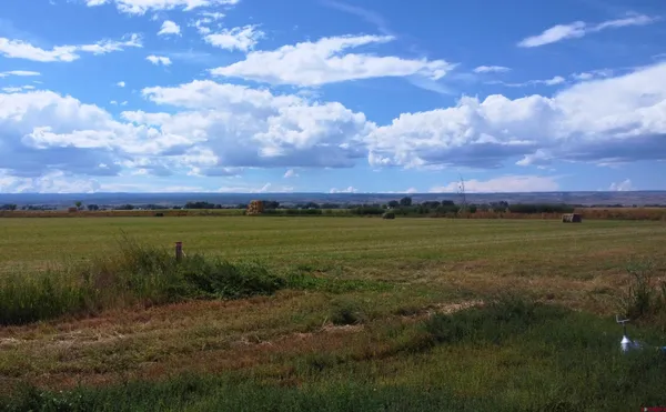 a view of a city with an ocean