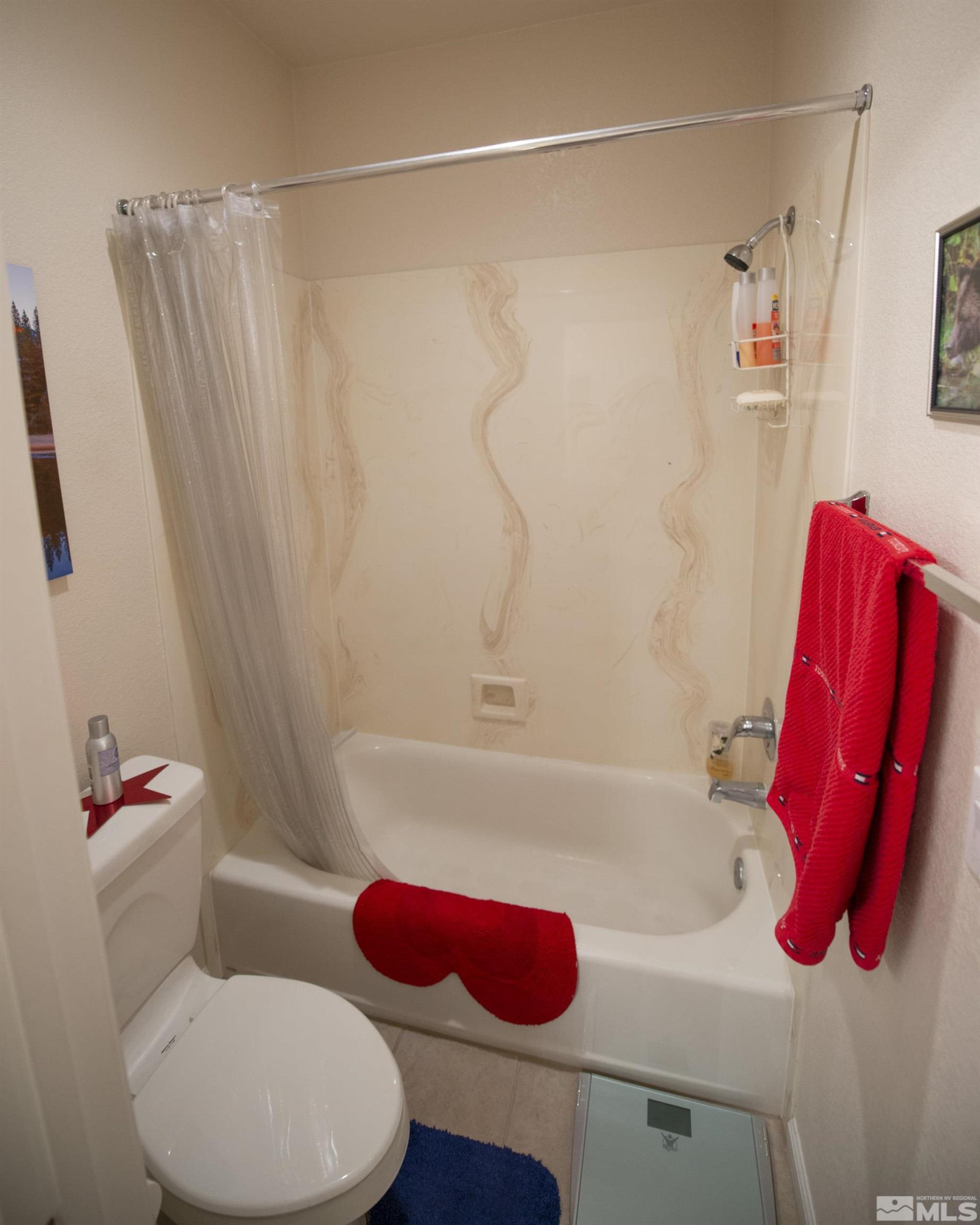475 Ruffian Court Reno, NV 89521 - Photo 15 of 22 Photo 15
