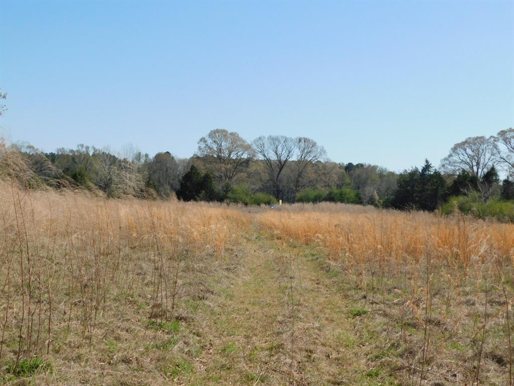0 Cox Road Sarepta, LA 71071 - Photo 11 of 26