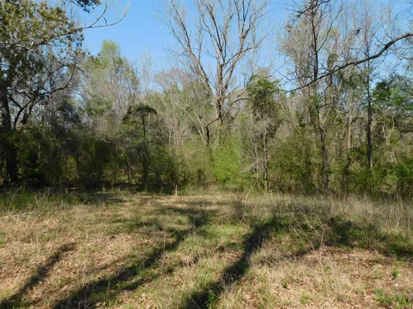 a view of a lake with a yard