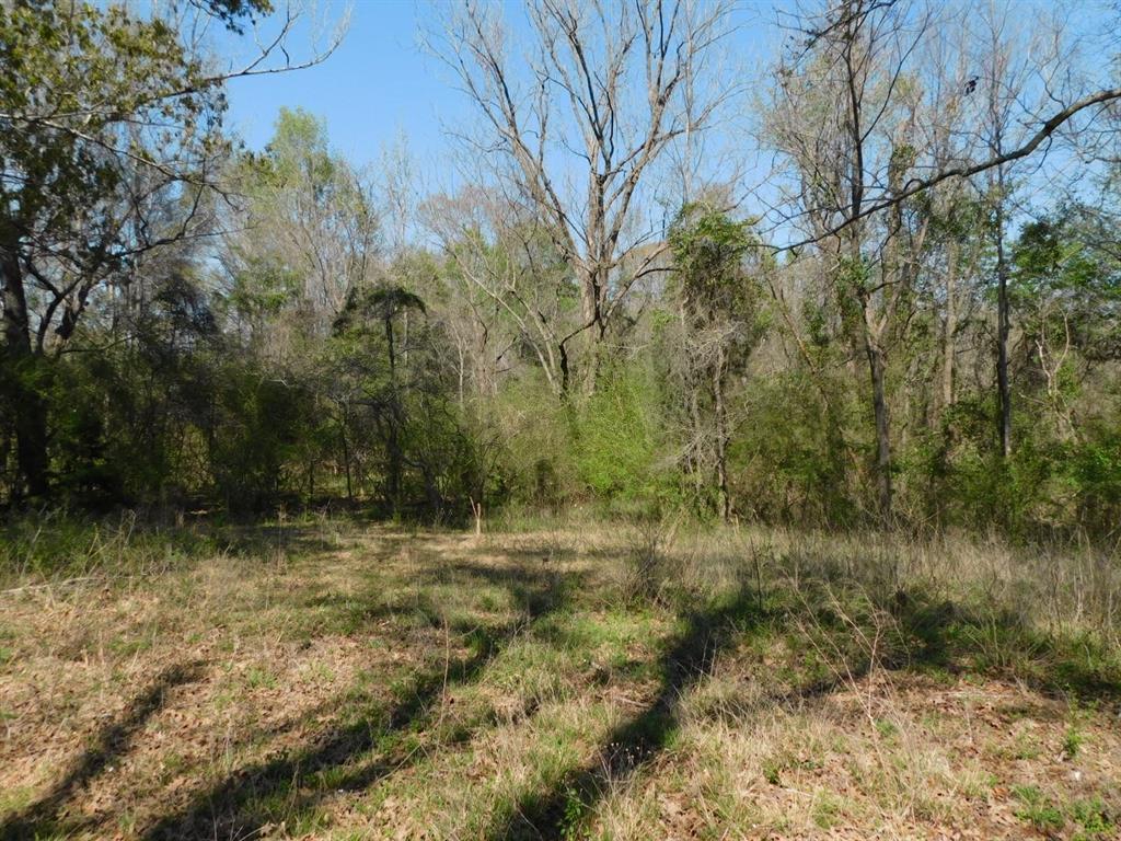 0 Cox Road Sarepta, LA 71071 - Photo 13 of 26