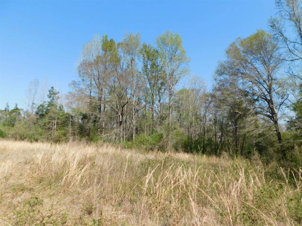 0 Cox Road Sarepta, LA 71071 - Photo 15 of 26