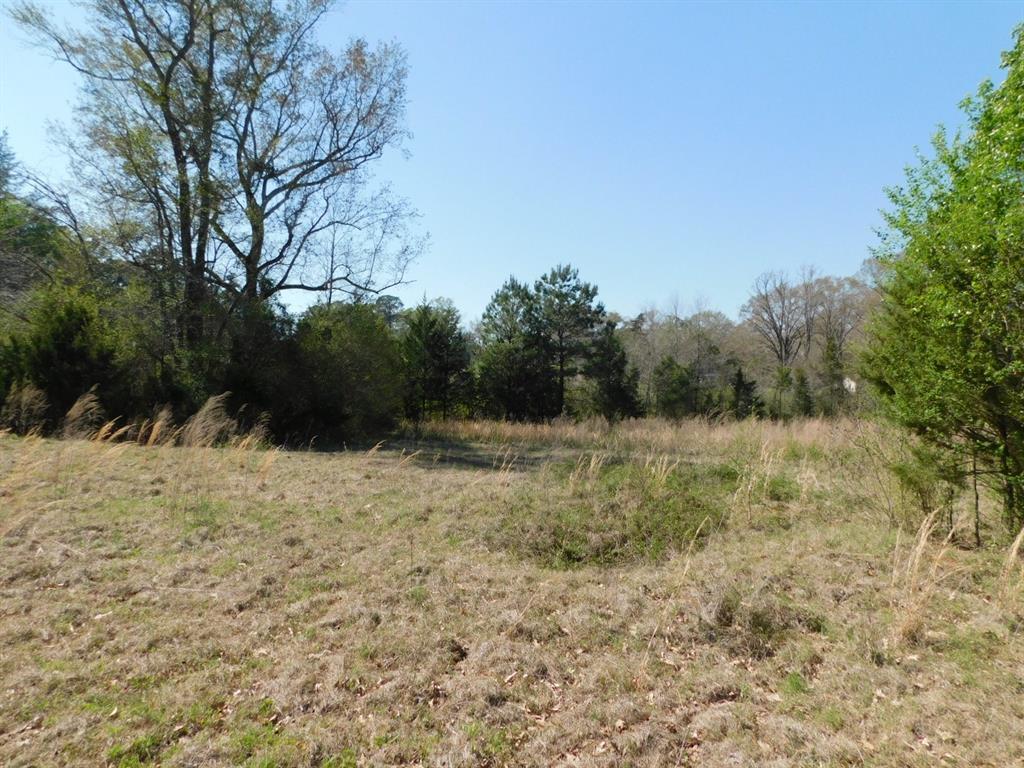 0 Cox Road Sarepta, LA 71071 - Photo 17 of 26