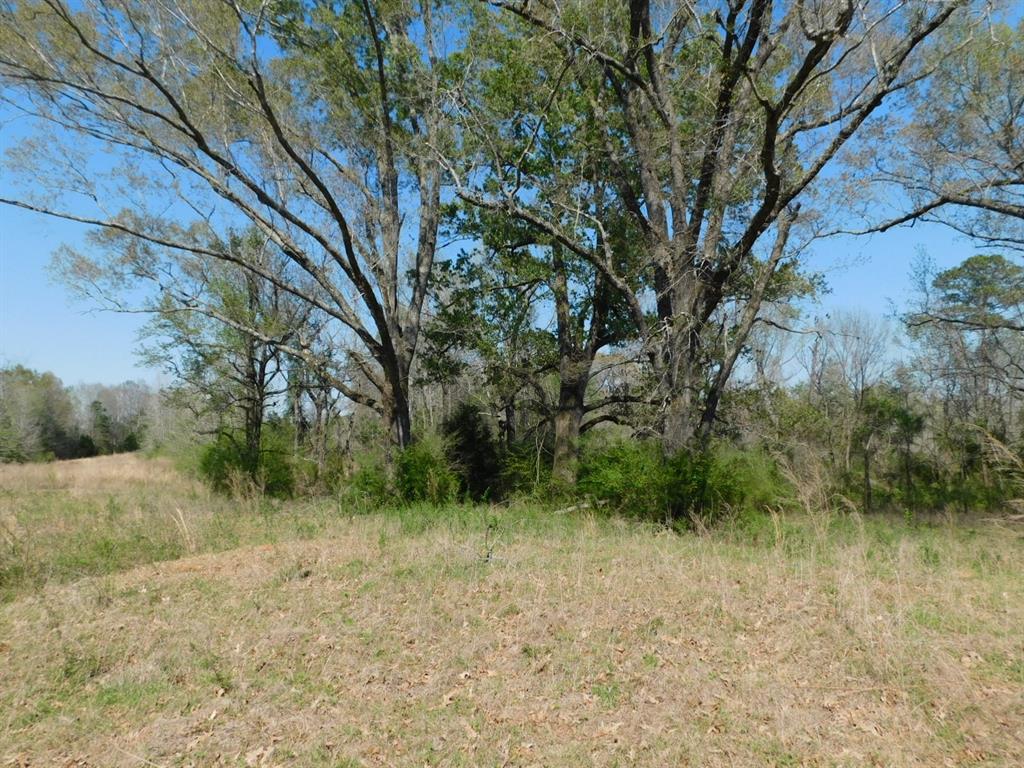 0 Cox Road Sarepta, LA 71071 - Photo 18 of 26
