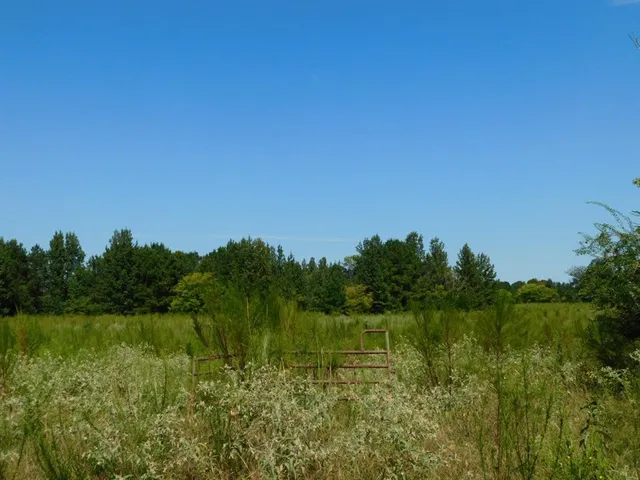 $321,667 | 0 Cox Road, Sarepta, LA 71071