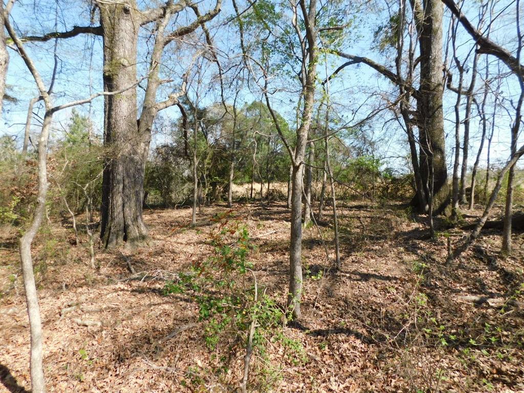 0 Cox Road Sarepta, LA 71071 - Photo 21 of 26
