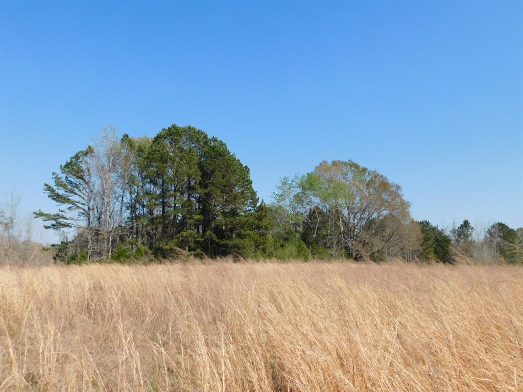0 Cox Road Sarepta, LA 71071 - Photo 22 of 26
